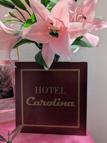 Déco Glamour orchidée hotel Carolina